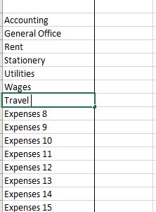 Profit and Loss Template Profit and Loss Expenses