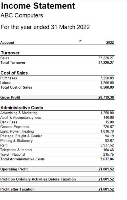 A Guide to Accounting Basics for Small Business Income statement example