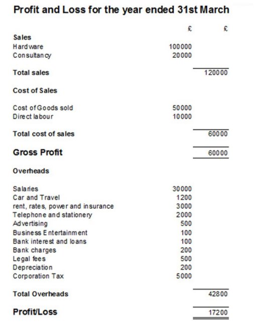 Accounting for Startups Example of a Profit and Loss Statement